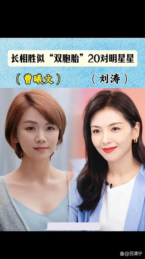 娱乐圈撞脸的明星相似度_娱乐圈的撞脸_娱乐圈撞脸图