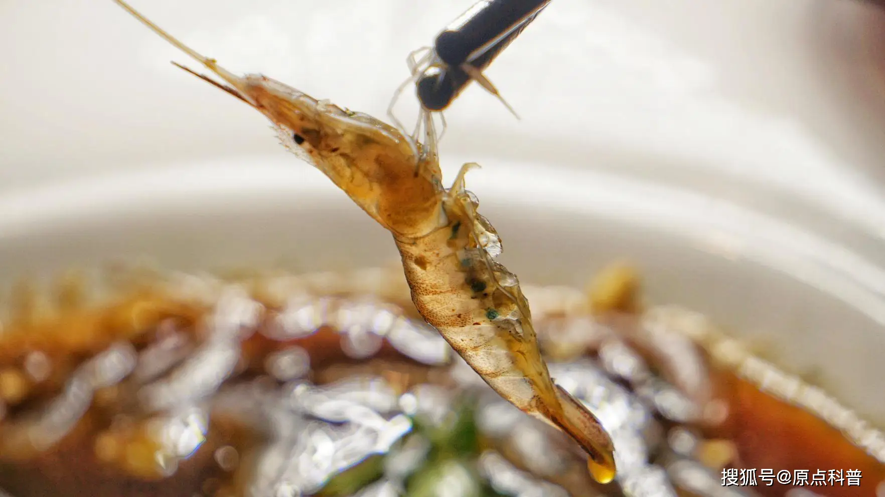 黑暗料理排行榜前十名网红,_江苏特色黑暗料理盘点_江苏黑暗料理排名