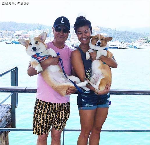 香港娱乐圈疼老婆_香港娱乐圈疼老婆_香港娱乐圈疼老婆