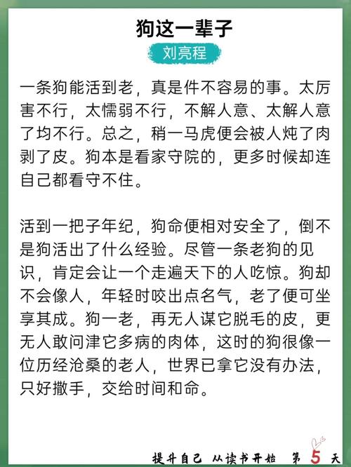 快手老狗八卦_老狗八卦微博_网红老狗讲八卦-