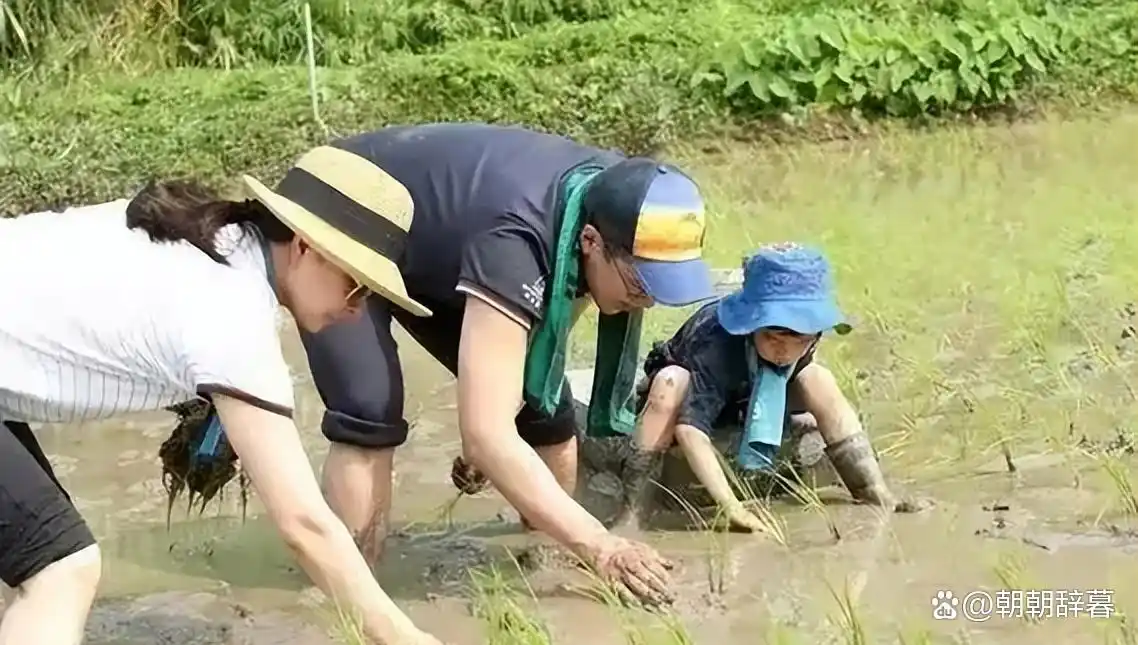 景甜郭晶晶刘亦菲朱珠许晴陈红_天生富贵相女星_旺夫面相的女明星